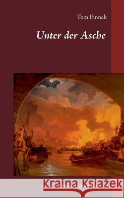 Unter der Asche: Historischer Roman Finnek, Tom 9783743166783