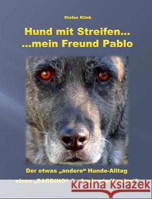 Hund mit Streifen ...: ... mein Freund Pablo Klink, Stefan 9783743194151