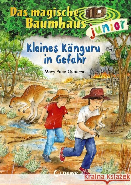 Das magische Baumhaus junior - Kleines Känguru in Gefahr Pope Osborne, Mary 9783743202887