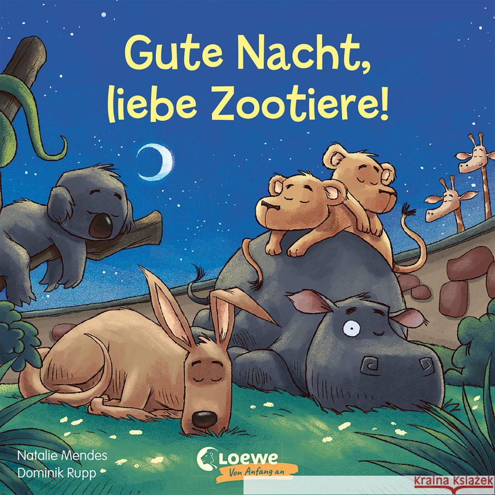 Gute Nacht, liebe Zootiere! Mendes, Natalie 9783743207639