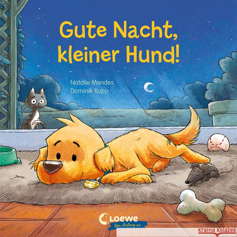 Gute Nacht, kleiner Hund! Mendes, Natalie 9783743212992 Loewe