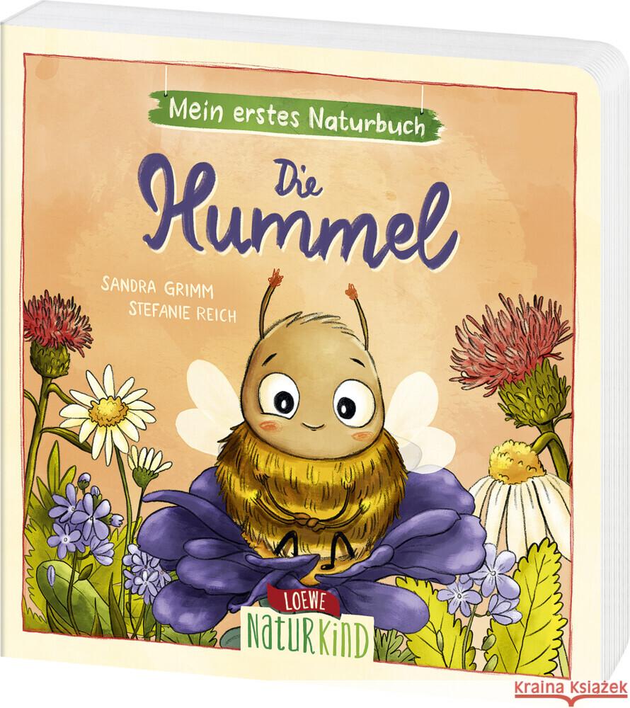 Mein erstes Naturbuch - Die Hummel Grimm, Sandra 9783743213173