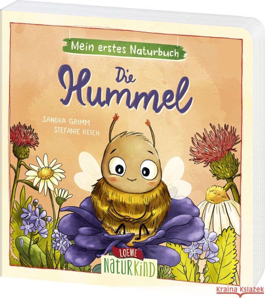 Mein erstes Naturbuch - Die Hummel Grimm, Sandra 9783743213173 Loewe