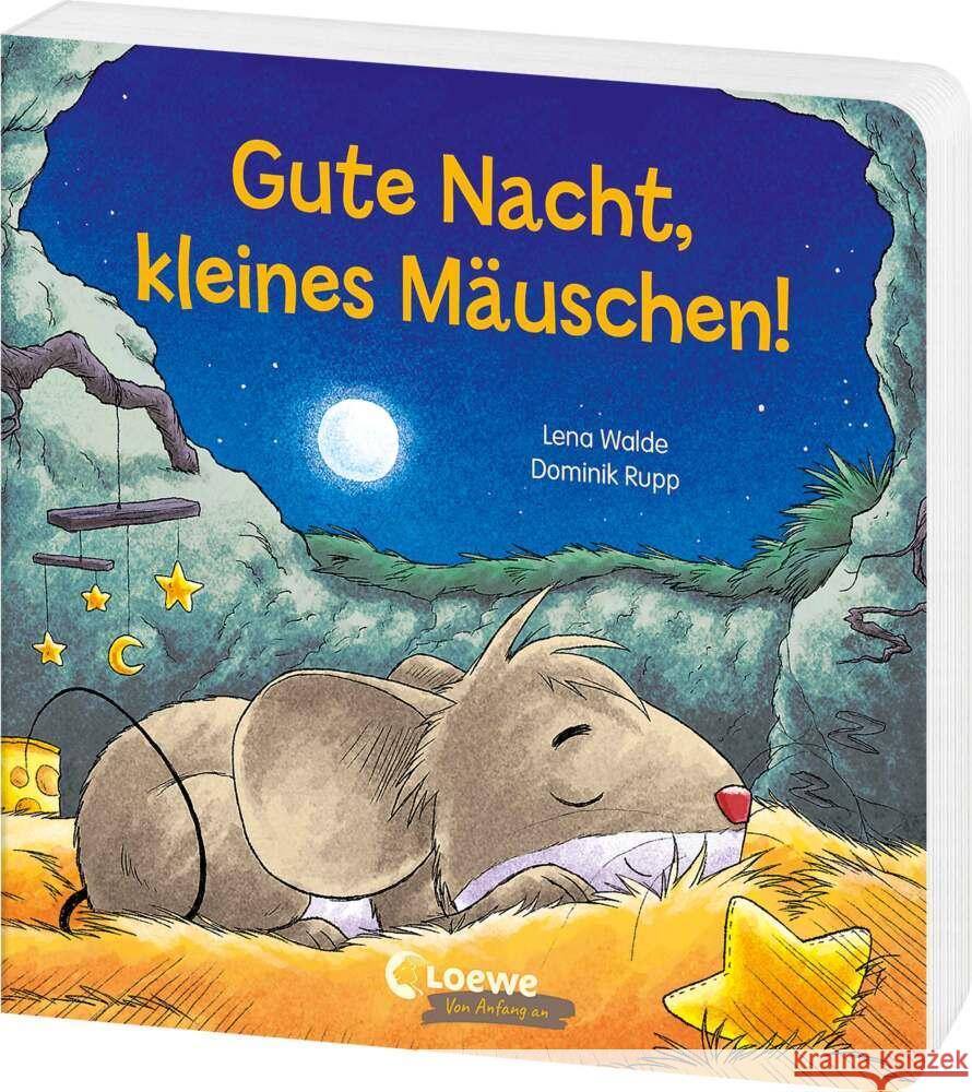 Gute Nacht, kleines Mäuschen! Walde, Lena 9783743216518 Loewe