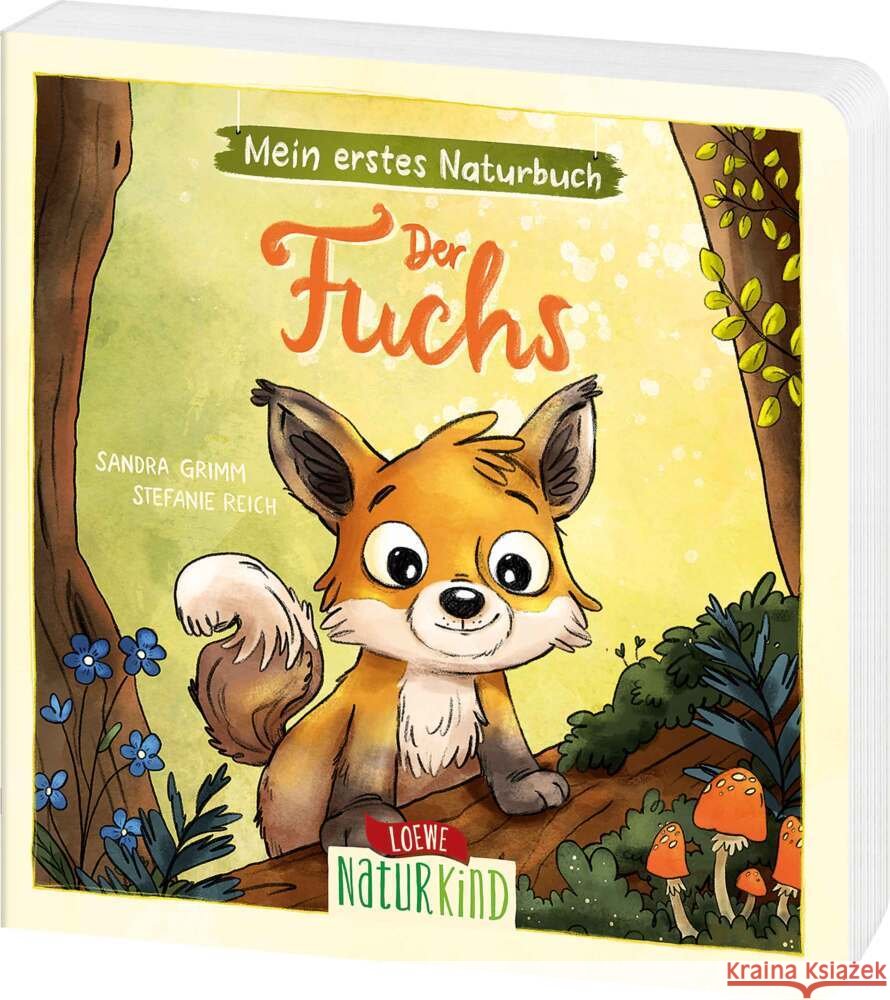 Mein erstes Naturbuch - Der Fuchs Grimm, Sandra 9783743218635 Loewe