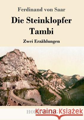 Die Steinklopfer / Tambi: Zwei Erzählungen Ferdinand Von Saar 9783743718685