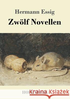 Zwölf Novellen Hermann Essig 9783743724686