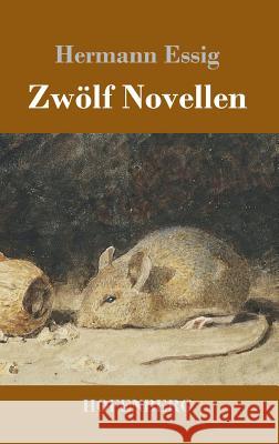 Zwölf Novellen Hermann Essig 9783743724693