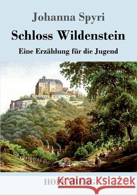 Schloss Wildenstein: Eine Erzählung für die Jugend Johanna Spyri 9783743732469 Hofenberg