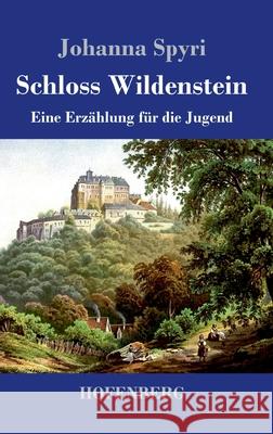 Schloss Wildenstein: Eine Erzählung für die Jugend Johanna Spyri 9783743732476 Hofenberg