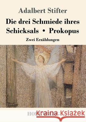 Die drei Schmiede ihres Schicksals / Prokopus: Zwei Erzählungen Adalbert Stifter 9783743733824 Hofenberg