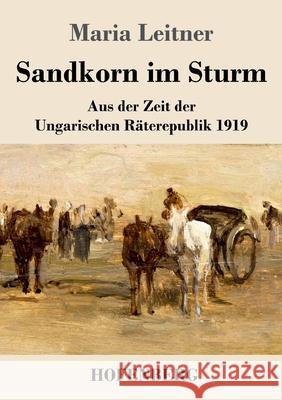 Sandkorn im Sturm: Aus der Zeit der Ungarischen Räterepublik 1919 Maria Leitner 9783743740969