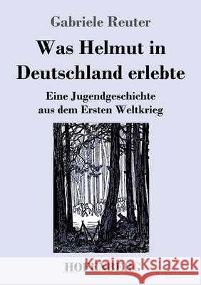 Was Helmut in Deutschland erlebte: Eine Jugendgeschichte aus dem Ersten Weltkrieg Gabriele Reuter 9783743742512