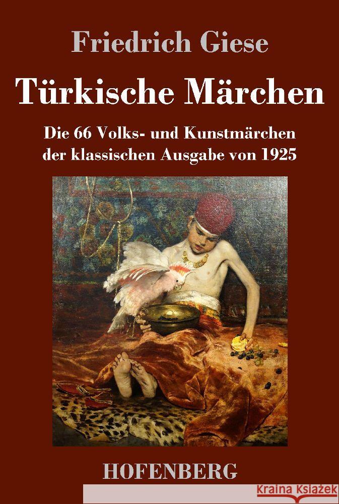 T?rkische M?rchen: Die 66 Volks- und Kunstm?rchen der klassischen Ausgabe von 1925 Friedrich Giese 9783743746572