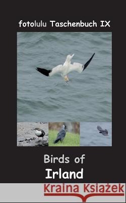 Birds of Irland: fotolulu Taschenbuch IX Fotolulu 9783744822596 Books on Demand