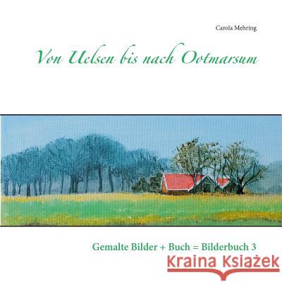 Von Uelsen bis nach Ootmarsum: Gemalte Bilder + Buch = Bilderbuch 3 Carola Mehring 9783744889599