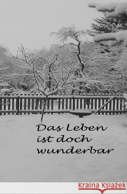 Das Leben ist doch wunderbar : Weihnachten und andere Katastrophen Reinecke, Tatjana 9783745024357