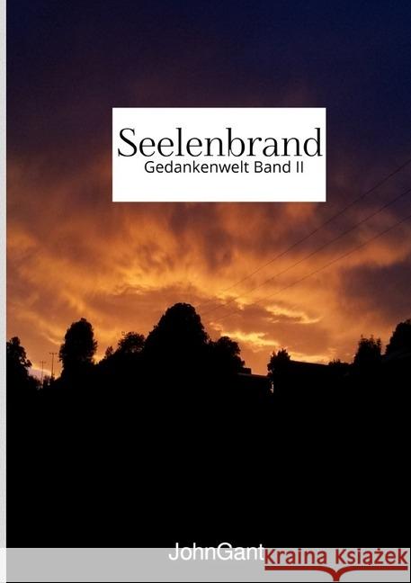 Seelenbrand Gant, John 9783745027525 epubli