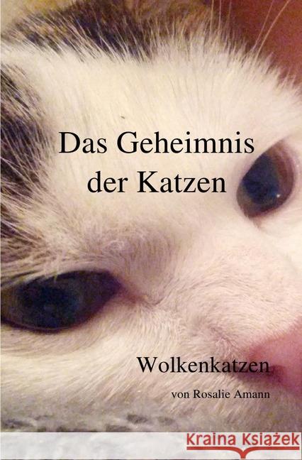 Das Geheimnis der Katzen - Wolkenkatzen Amann, Rosalie 9783745070736 epubli