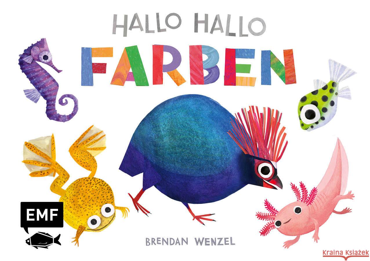 Hallo Hallo - Farben Wenzel, Brendan 9783745924350