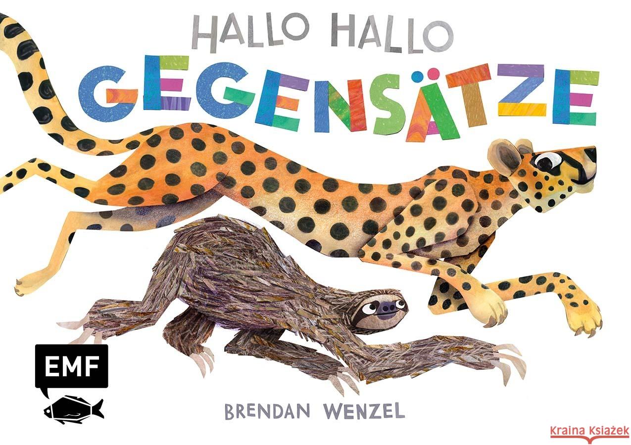Hallo Hallo - Gegensätze Wenzel, Brendan 9783745924367