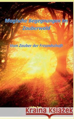 Magische Begegnungen im Zauberwald: Vom Zauber der Freundschaft Solo, Ulrike 9783746024783 Books on Demand