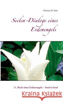 Seelen-Dialoge eines Erdenengels: 11. Buch eines Erdenengels - Soul to Soul Seite, Clarissa M. 9783746048024 Books on Demand