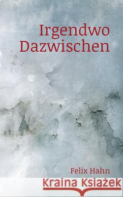 Irgendwo Dazwischen Felix Hahn 9783746081489
