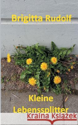 Kleine Lebenssplitter Brigitta Rudolf 9783746089362 Books on Demand