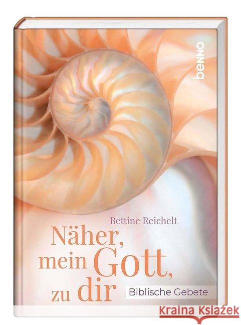 Näher, mein Gott, zu dir : Biblische Gebete Reichelt, Bettine 9783746256658