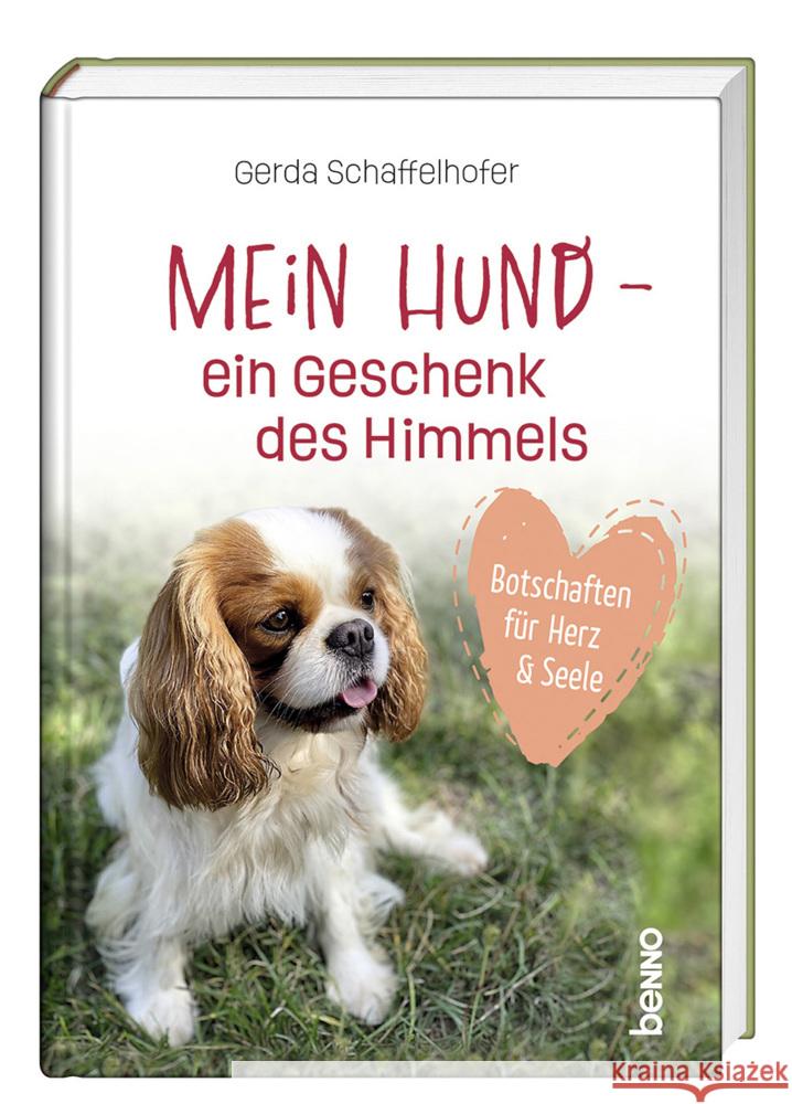 Mein Hund - ein Geschenk des Himmels Schaffelhofer, Gerda 9783746265957