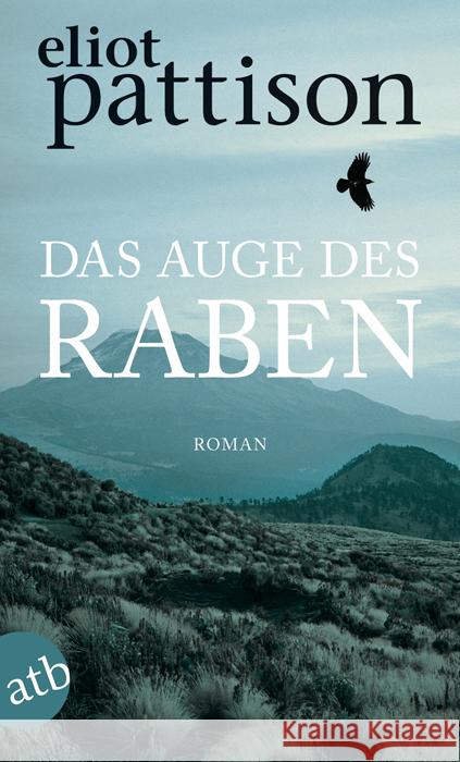 Das Auge des Raben : Roman Pattison, Eliot 9783746628059