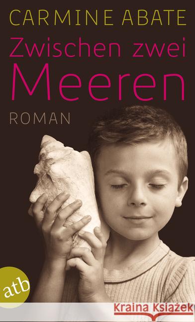 Zwischen zwei Meeren : Roman Abate, Carmine 9783746631998