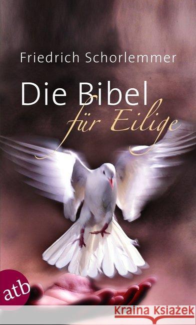 Die Bibel für Eilige Schorlemmer, Friedrich 9783746632339