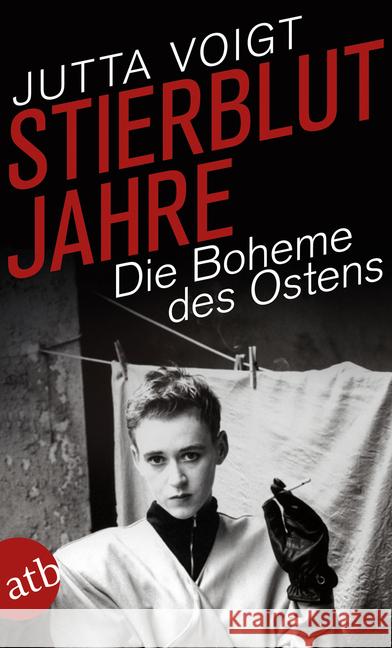 Stierblutjahre : Die Boheme des Ostens Voigt, Jutta 9783746633961 Aufbau TB