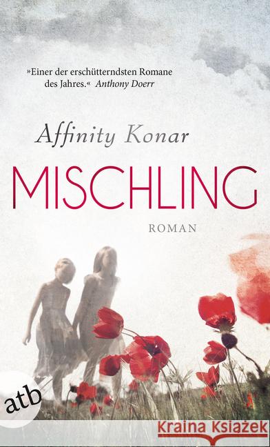 Mischling : Roman Konar, Affinity 9783746634555 Aufbau TB