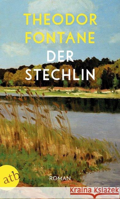 Der Stechlin : Roman Fontane, Theodor 9783746634876