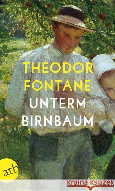 Unterm Birnbaum Fontane, Theodor 9783746634890 Aufbau TB