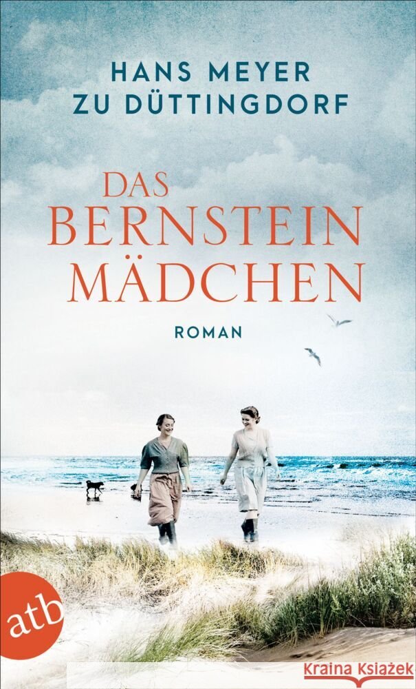 Das Bernsteinmädchen Meyer zu Düttingdorf, Hans 9783746637525