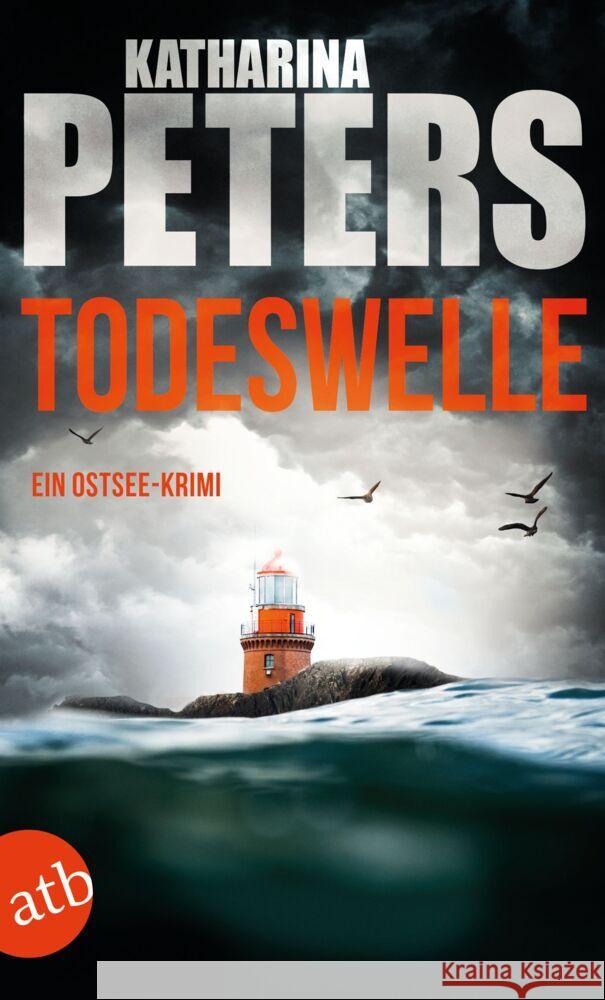 Todeswelle Peters, Katharina 9783746637754 Aufbau TB