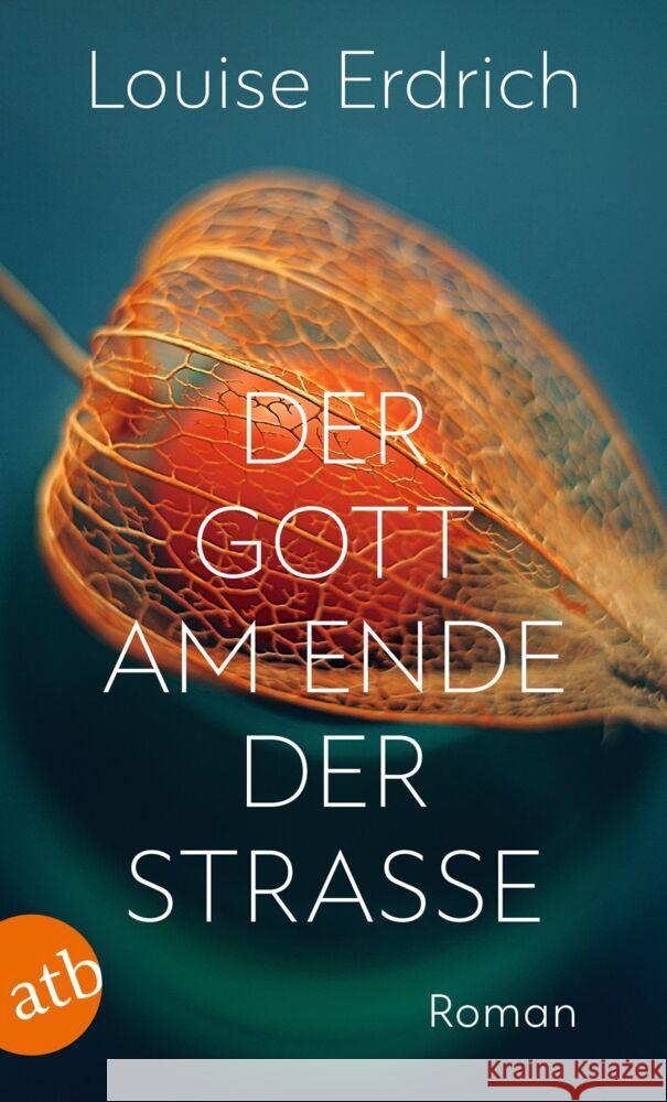 Der Gott am Ende der Straße Erdrich, Louise 9783746638027