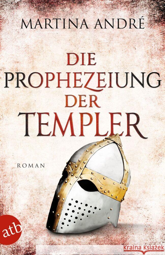 Die Prophezeiung der Templer André, Martina 9783746638249 Aufbau TB