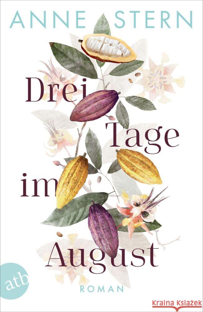 Drei Tage im August Stern, Anne 9783746639987