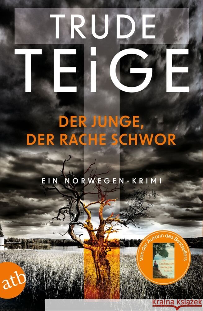 Der Junge, der Rache schwor Teige, Trude 9783746642291 Aufbau TB