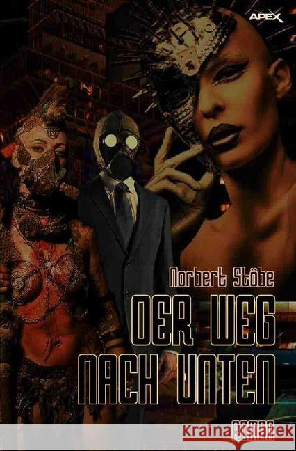 DER WEG NACH UNTEN : Roman Stöbe, Norbert 9783746700243