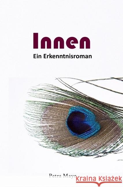 Innen : Ein Erkenntnisroman Mayr, Petra 9783746705248