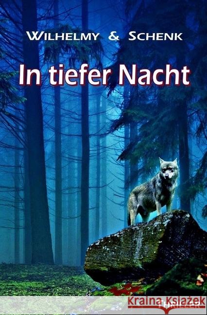 In tiefer Nacht Wilhelmy, Birgit; Schenk, Gabriele 9783746706757