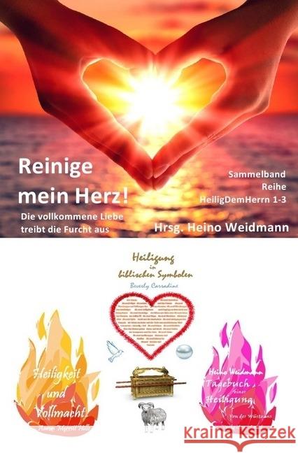 Reinige mein Herz! : Die vollkommene Liebe treibt die Furcht aus Hills, Aaron Merritt 9783746725000