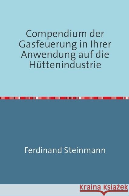 Compendium der Gasfeuerung : In Ihrer Anwendung auf die Hüttenindustrie Nachdruck 2018 Taschenbuch Steinmann, Ferdinand 9783746725406