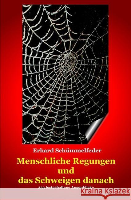 Menschliche Regungen und das Schweigen danach : 333 festgehaltene Augenblicke Schümmelfeder, Erhard 9783746732770